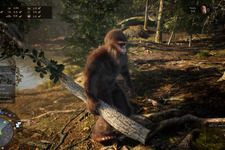 美しい森でビッグフットとして生活するシミュレーター『Bigfoot Life』11月配信決定！ 画像