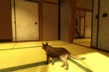 「猫」視点で進める探索ホラーADV『まだ猫は逃げますか？』プレイレポ―田舎の民家で「記憶」を集め、怪奇現象の謎に迫る。シナリオ手掛ける作家・背筋氏らしさ爆発の“考察系ジワ怖”ホラー 画像