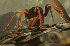 蟻シム『Ant Simulator』が開発中止―元同僚が開発資金を使い込み【UPDATE】 画像