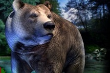 熊さんシム『Bear Simulator』の開発者が更新終了を告知―ネットの批判が理由か 画像