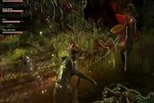 『TES』シリーズの雰囲気がより濃厚になった『The Elder Scrolls Online』のQuakeConイベントプレイ映像が公開 画像