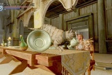 『スカイリム』猫をプレイアブル化するModが登場！これぞまさしくドヴァーキティ 画像