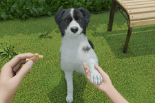 ワンちゃんを子犬から育てる『Dog Trainer』発表！ 犬を飼うことの喜びと責任を体験 画像