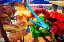 カニが武器を持って戦う『カニノケンカ -Fight Crab-』Steam版配信日決定！ 画像