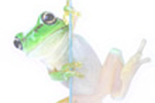 アンビエントでアートなカエルのiPhone用パズルゲーム『Ancient Frog』 画像