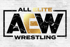 米プロレス団体「AEW」のゲームが近日中に発表―ゲームでもWWEに対抗か 画像