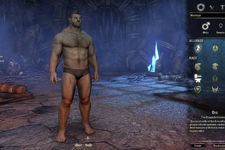 【The Elder Scrolls Online旅日記その1】筋肉モリモリオークで『TES』らしさを追求プレイ 画像