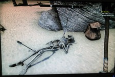 本日の一枚『TESOで発見！膝に矢を受けてしまった白骨死体』 画像