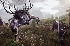 『The Witcher 3: Wild Hunt』では機種別に限定コンテンツを用意する予定はない、CD Projekt Redが明言 画像