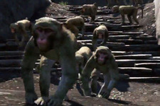 猿軍団も登場！『Far Cry 4 Limited Edition』海外向け特典コンテンツ紹介トレイラー映像 画像