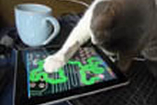猫 VS. iPad 画像