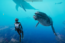 【PC版無料配布開始】海洋探査ADV『Beyond Blue』＆歴史ストラテジー『HUMANKIND』Epic Gamesストアにて 画像