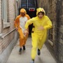 モンスターがパルクールで逃走！？爽快『ポケモンGO』実写映像