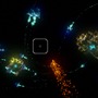 水口哲也が紡ぐ前人未到VR体験…『Rez Infinite』新ステージ「Area X」4K版ハンズオン＆インタビュー