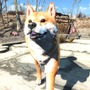 『Fallout 4』Creation Clubからめちゃめちゃ可愛い「柴犬」がリリース！一緒に連邦をお散歩できる