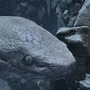 『SEKIRO: SHADOWS DIE TWICE』巨大ボス「Great Serpent」を披露する海外映像