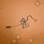 火星を目指す協力アドベンチャー『39 Days to Mars』スイッチ版発売！Steam版も架け橋ゲームズによる日本語版が配信