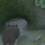 【吉田輝和の絵日記】オオカミADV『ロスト・エンバー』色んな動物に乗り移って地中・水中・空中を大冒険！