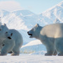 動物園経営シム『Planet Zoo』シロクマやトナカイが登場するDLC「Arctic Pack」が配信！
