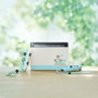 『あつまれ どうぶつの森』特別デザインの本体セット&キャリングケース発売決定!2月8日より予約受付開始
