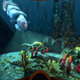 『Subnautica サブノーティカ』の開発元が『PUBG』のKRAFTON傘下へ―未発表作が2022年早期アクセス開始予定