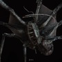 『バイオハザードRE:4』虫の世界で喰い破りは日常茶飯事！プラーガも普通に見える寄生虫の生態【ゲームで世界を観る#42】
