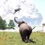 地形のみならず野生動物も！『Far Cry 4』マップエディターを紹介する海外向け最新映像