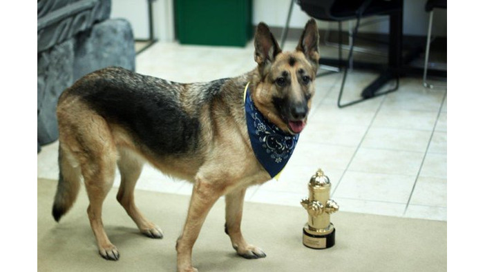『Fallout 4』ドッグミートが世界の名犬を決める「World Dog Awards」ゲーム部門トップに君臨