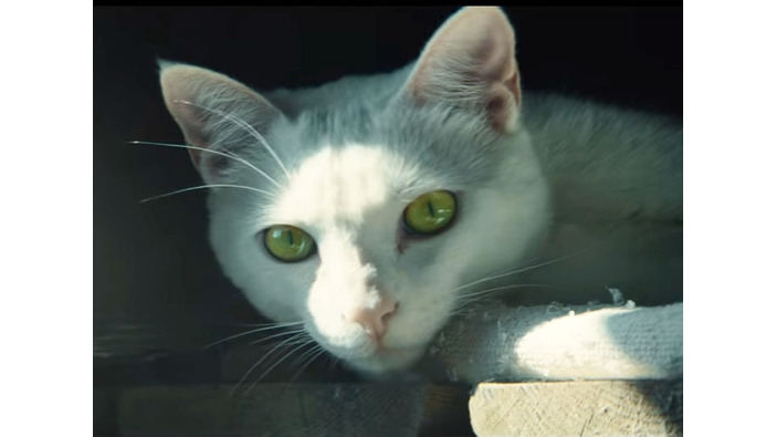 猫と“赤い点”を映す『ゴーストリコン ワイルドランズ』国内向け実写トレイラー
