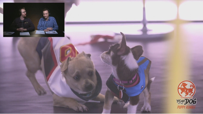 リアルワンちゃんによる『オーバーウォッチ』配信イベント「Puppy Rumble」開催！