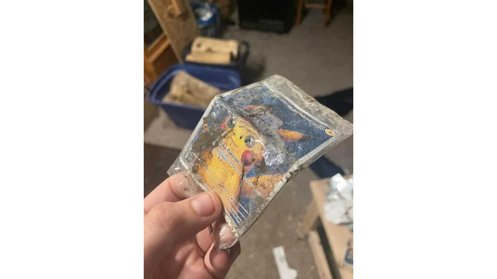 海外ファンの元に届いた「ゴッホピカチュウ」が飼ってたヤギや七面鳥にめちゃくちゃにされる…七面鳥は感謝祭で食卓へ