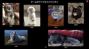 ゲームメニューに「ペット」！？ウクライナ産3Dダンジョン探索RPGの変わったタイトル項目が話題に 画像