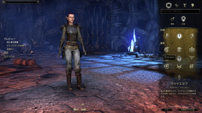 『エルダー・スクロールズ・オンライン』メディア体験会レポー全てが日本語になったタムリエルの世界