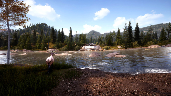 狩猟犬と挑むハンティングシム『Hunting Simulator 2』Steam版リリース