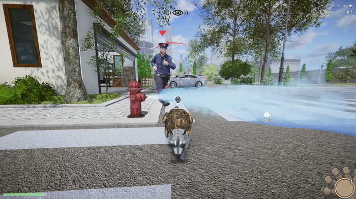 アライグマシミュレーター『Wanted Raccoon』早期アクセス開始―奪われた住処を人間から取り戻せ!