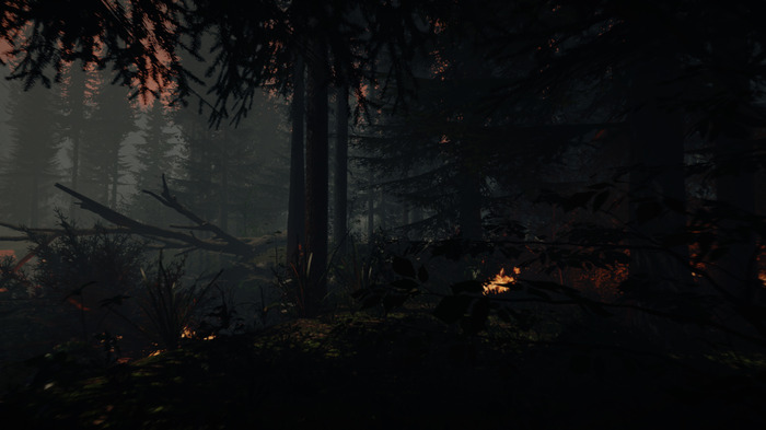 Oculus Rift対応オープンワールドサバイバルホラー『The Forest』のSteam早期アクセスは数ヶ月以内に実施予定