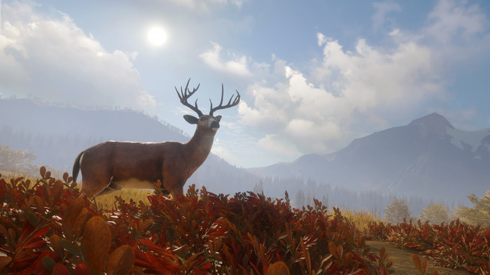 【期間限定無料】オープンワールド狩猟『theHunter: Call of the Wild』Epic Gamesストアにて配布開始―次週は『Dead by Daylight』を予告