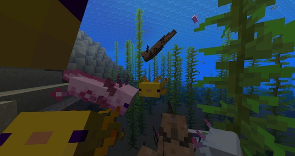 マインクラフト 最新スナップショットw51a公開 新mob Axolotl がとてもかわいい Gamerzclip