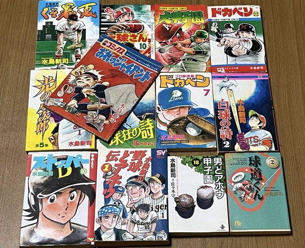 嗚呼、水島作品よ永遠に!オールスターゲーム『激闘プロ野球