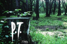 PS4本体に残された『P.T.』が自動削除されるとの噂をコナミが否定 画像