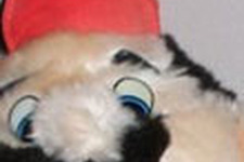 本日の一枚 『とっても残念なマリオのぬいぐるみ』 画像