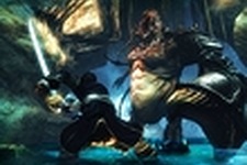 海賊ファンタジーRPG『Risen 2: Dark Waters』の発売日が約1ヶ月の延期へ 画像