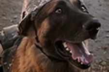 キルストリークで呼び出した軍用犬との悲しい物語『Call of Duty』ファンメイド実写映像“Bark Ops” 画像