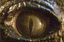 本日の一枚『ギョロリと目が覗く、ワニ革風Xbox 360ケースMOD』 画像