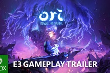 『オリとくらやみの森』続編『Ori and the Will of the Wisps』新トレイラー！【E3 2018】 画像