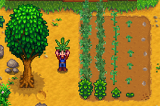 普通の作物にはもう飽きた？『Stardew Valley』に大麻を栽培できるModが登場！―売人にだってなれる 画像