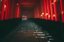 伏見稲荷を散策する美麗ウォーキングシミュ『Explore Kyoto's Red Gates』公開ーVR対応版も 画像