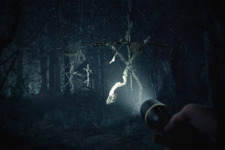 新作ホラーADV『Blair Witch』4Kトレイラー公開―美しくも不穏な雰囲気漂う森を行く 画像
