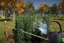 大麻農家ライフを営めるシム『Weed Farmer Simulator』Steamページが登場―2月29日に早期アクセス開始予定 画像