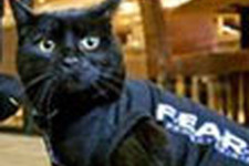 『F.E.A.R. 2』13日の金曜日に黒猫が街を歩く奇抜なプロモーションを実施！ 画像